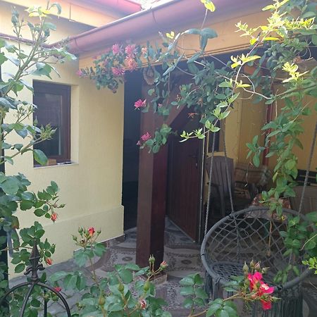 Cisnădie Casa Bunicilor 아파트 외부 사진